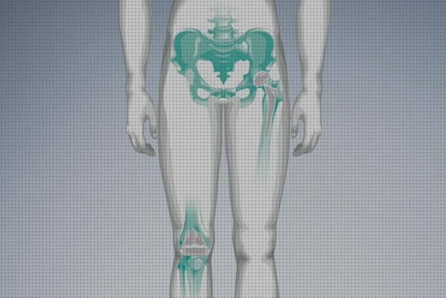 Las mejores marcas de columna cervical rectificada kons bambas ortopédicas almohada de viaje cervical concord aesculab ortopédics aesculab protesis rodilla columbus