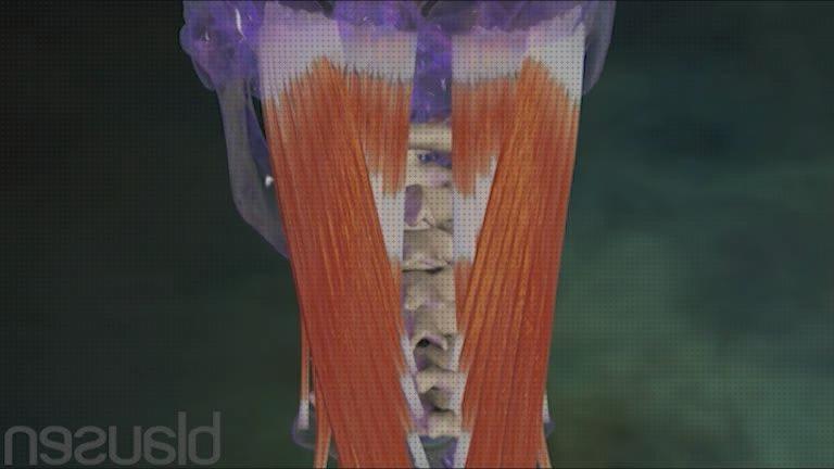 ¿Dónde poder comprar almohada para estenosis cervical?