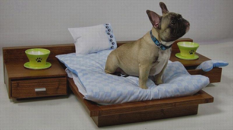 ¿Dónde poder comprar almohadas almohadas ortopedicas para perritos pequeños?