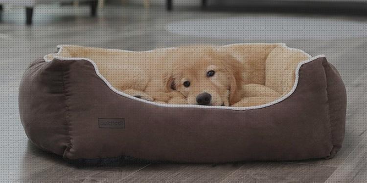Las mejores almohadas almohadas ortopedicas para perritos pequeños