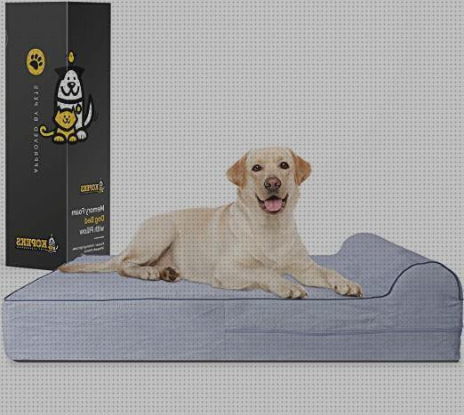 Review de almohadas ortopedicas para perritos pequeños