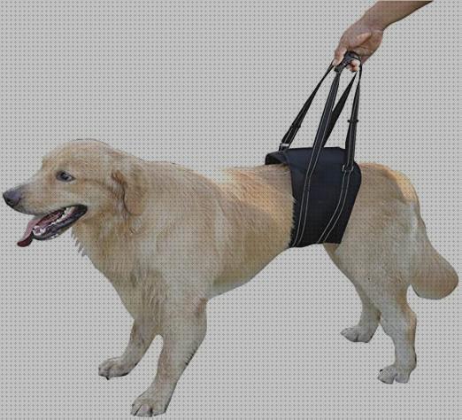 ¿Dónde poder comprar alternativos ruedas alternativa a silla de ruedas?