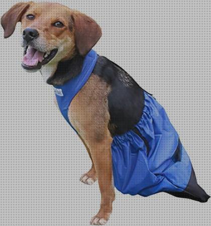 Las mejores alternativos ruedas alternativa a silla de ruedas