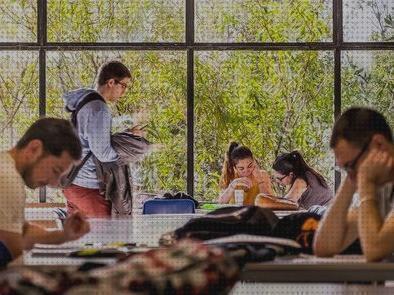 Análisis de los 26 mejores Alumnos Sillas De Ruedas Unizar