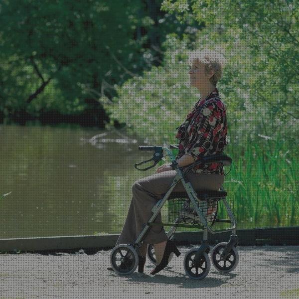 ¿Dónde poder comprar andador ergo omron m6 it comfort toma presión digital de brazo omron hem 7120 andador aluminio ergo ad 150?