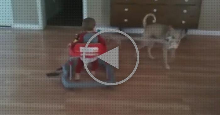 Las mejores andador bebe que se arrastra