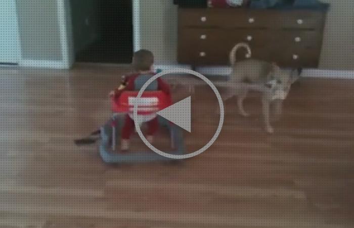 Análisis de los 25 mejores Andadores Para Bebes Que Se Arrastran