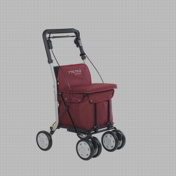 ¿Dónde poder comprar carlett comprar andador carrito comprar carlett lett 800?