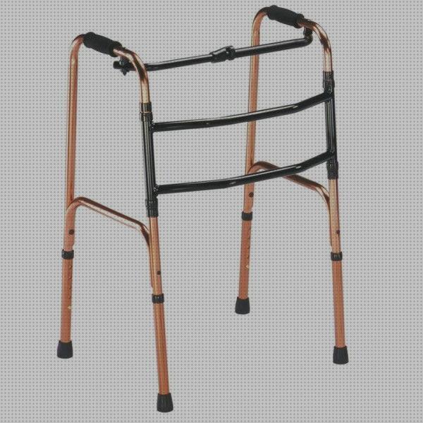 Los 21 Mejores Andadores De Cuatros Patas