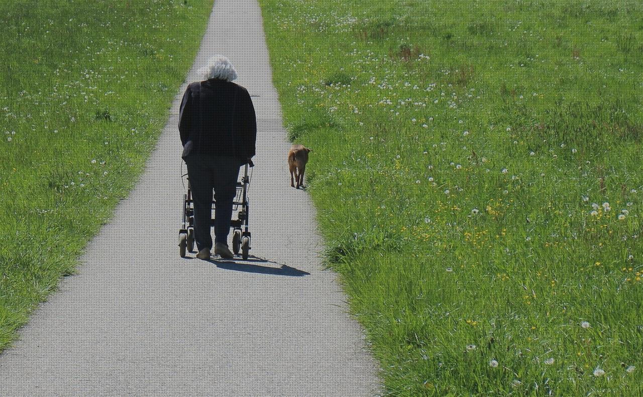 Las mejores adultos andador dinamicopaa adultos