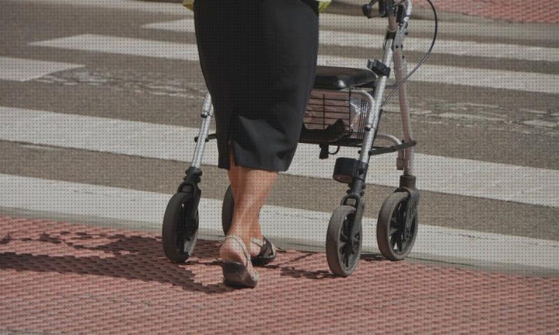 Mejores 33 andadores adultos donosti