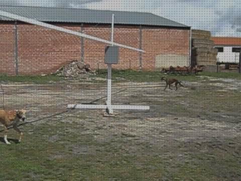 Las mejores marcas de galgos andador para entrenar galgos