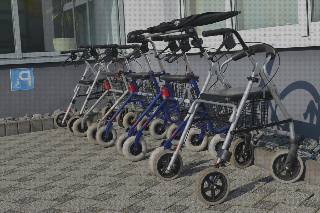 Los mejores 24 Andadores Para Las Circulacion