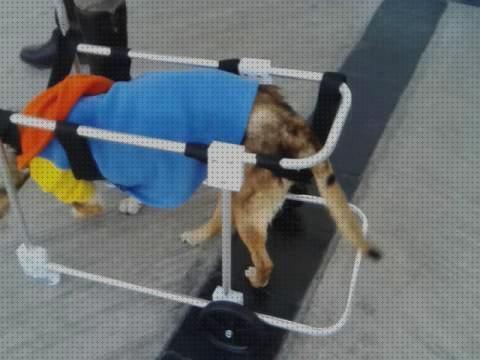 Las mejores perros ruedas andador para perros cuatro ruedas