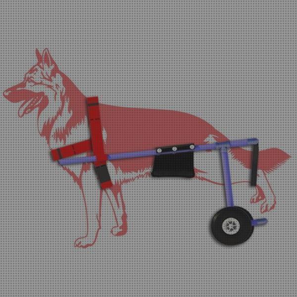 Las mejores perros andador perros invalido