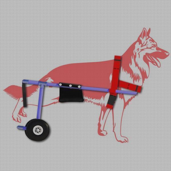 ¿Dónde poder comprar perros andador perros invalido?