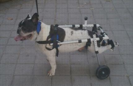 Silla de ruedas para perros Mimigo, carrito para mascotas para perros  discapacitados, coche de paseo asistido para la rehabilitación de las patas  traseras, carro ligero ajustable para perros para las patas traseras