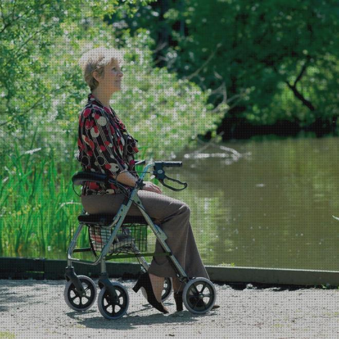 Opiniones de los 31 mejores Andadores Rollator Aluminios Ergo Ad150