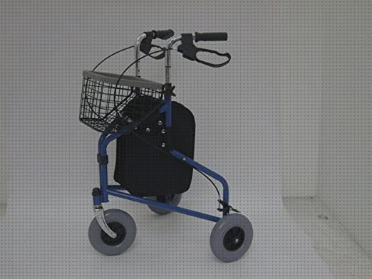 Las mejores rollator andador rollator robust precio