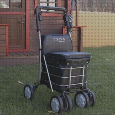Review de andador tipo carro