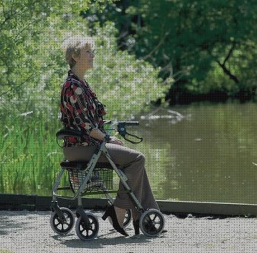 Las mejores andadores con asiento ortoweb
