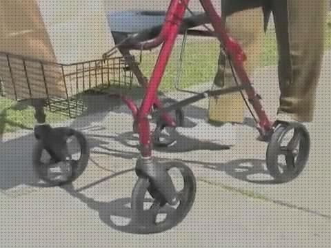 TOP 29 andadores de paseos del mundo
