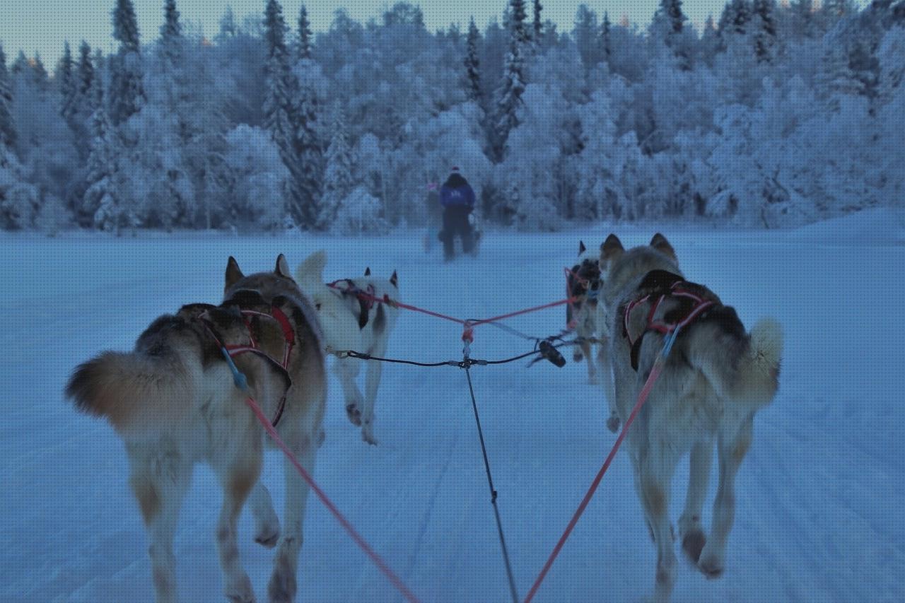 Las mejores marcas de grua ortopédica sunlift disras orejas orejas ortopédicas arnes grua sunlift