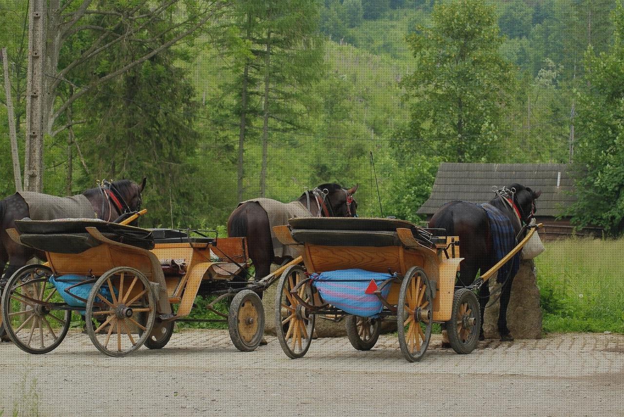 Las mejores grua ortopédica sunlift disras orejas orejas ortopédicas arnes grua sunlift