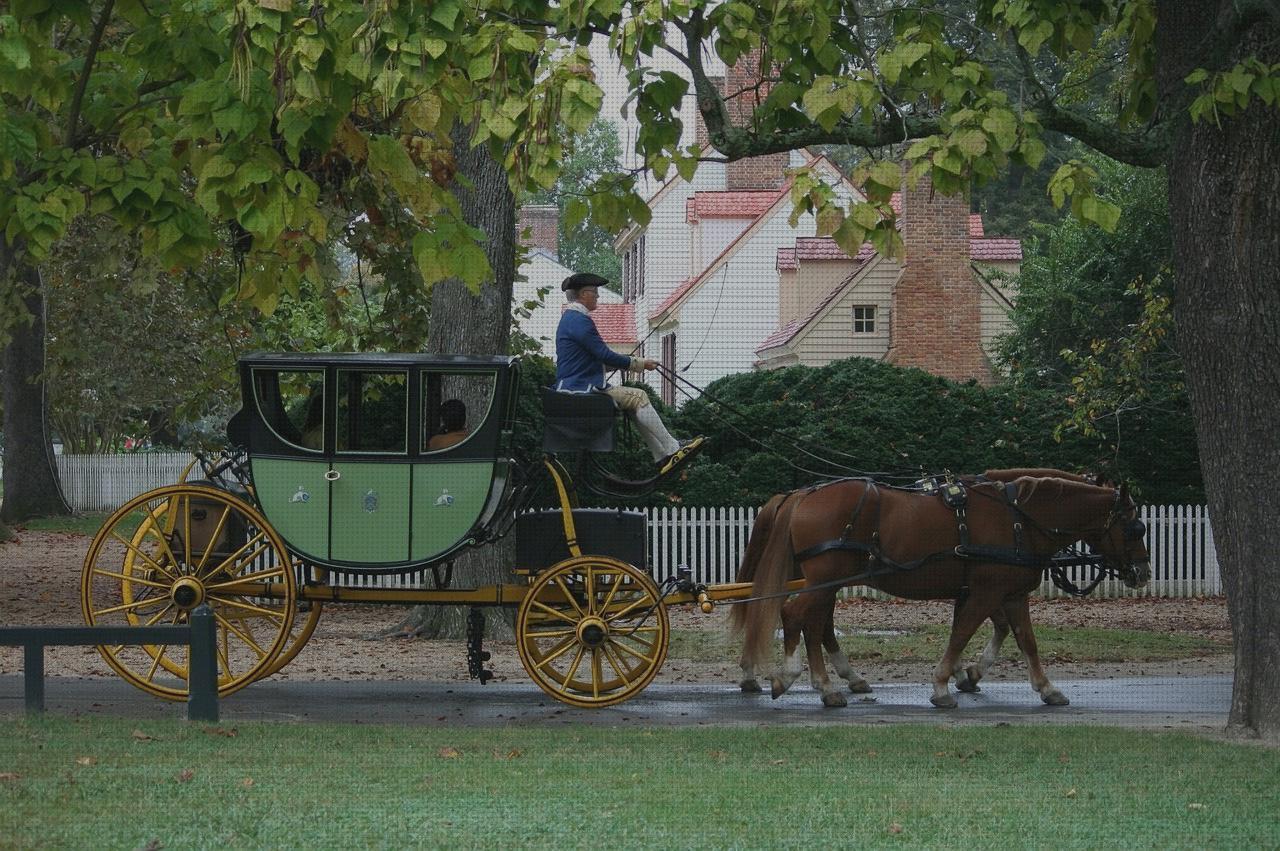 Review de arnes grua sunlift