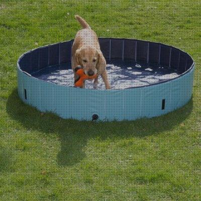 Review de arnes ortopedico trasero zooplus