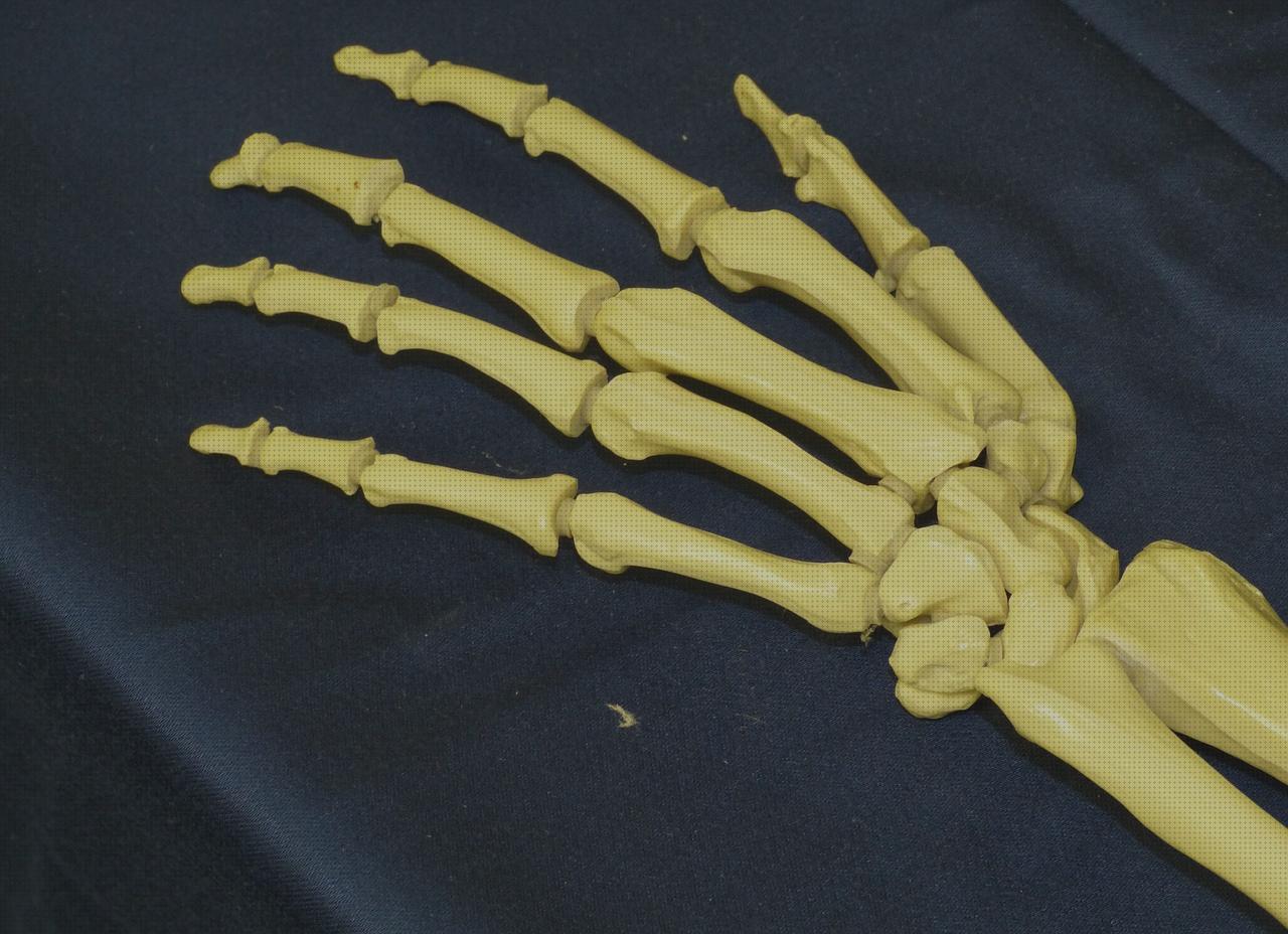 ¿Dónde poder comprar articulación mecanica de codo sin fin ortopédica columna cervical rectificada kons bambas ortopédicas articulaciones huesos y musculos?