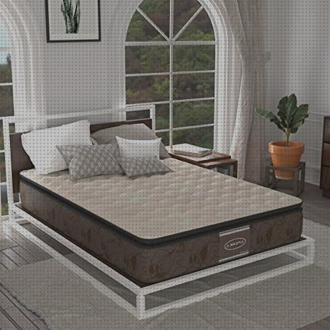 Las mejores marcas de atlanta material ortopedico