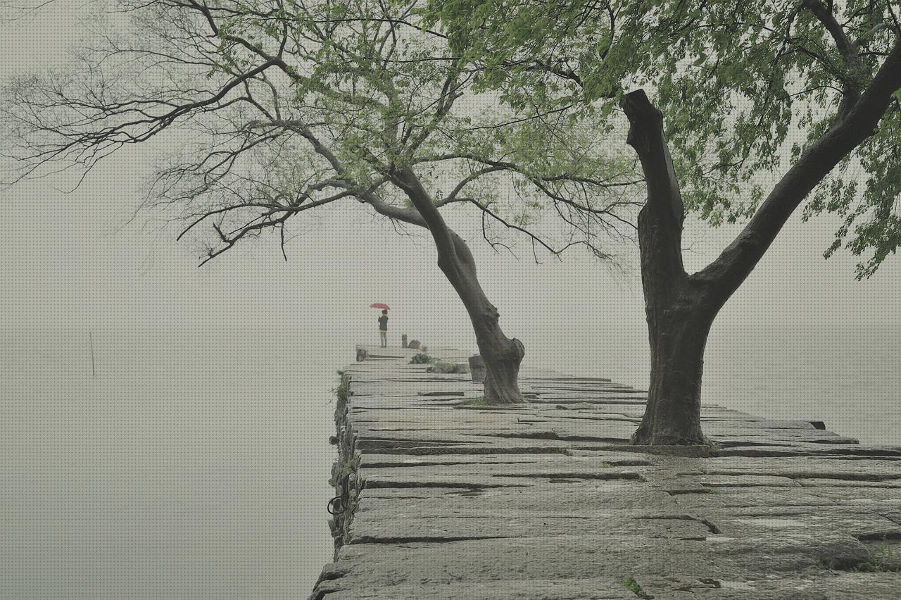 Mejores 21 baldas camas a la venta