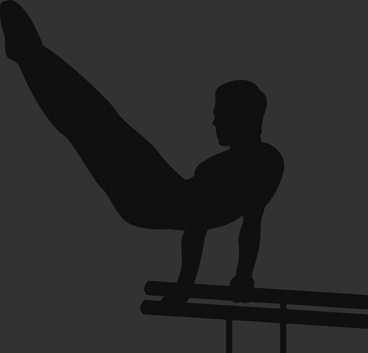 Análisis de las 4 mejores Barras Paralelas Rehabilitacion Baratas