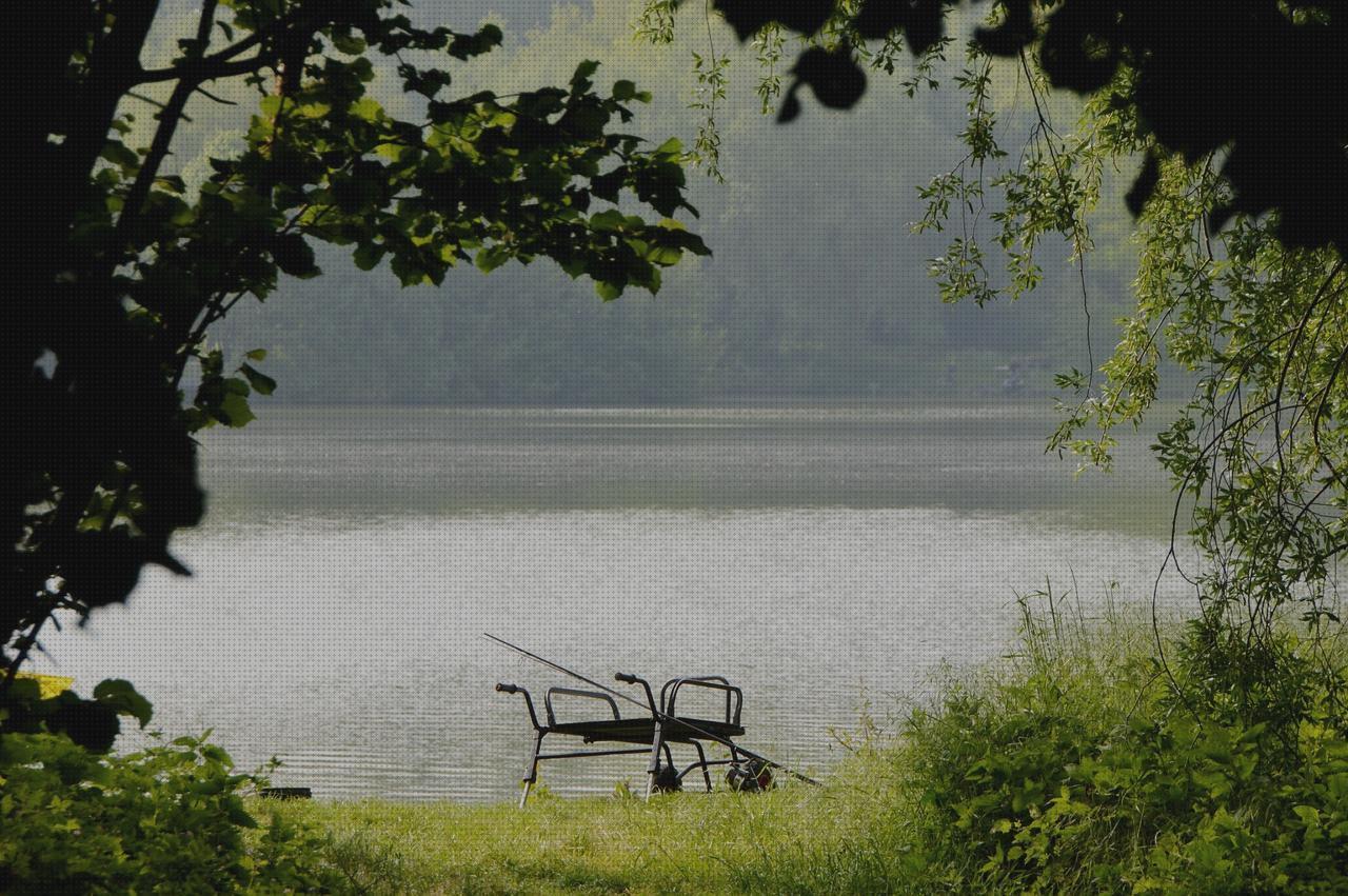 Las mejores silla ortopédica de ducha con ventosas cifosis correccion ortopédica menton corset ortopédico cifosis baston con ventosas