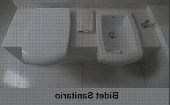 Review de bidé sanitario acoplable al inodoro de plástico