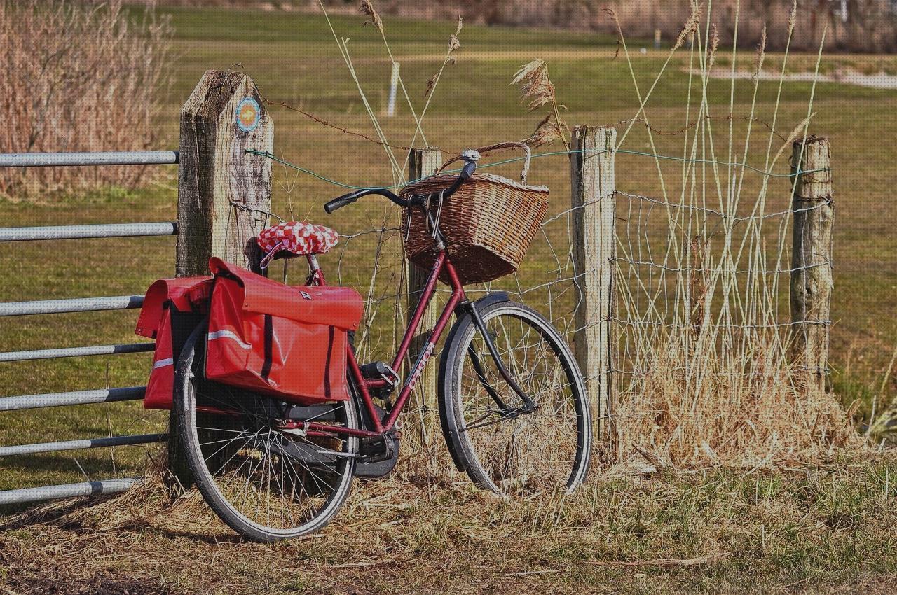 Review de bolso silla