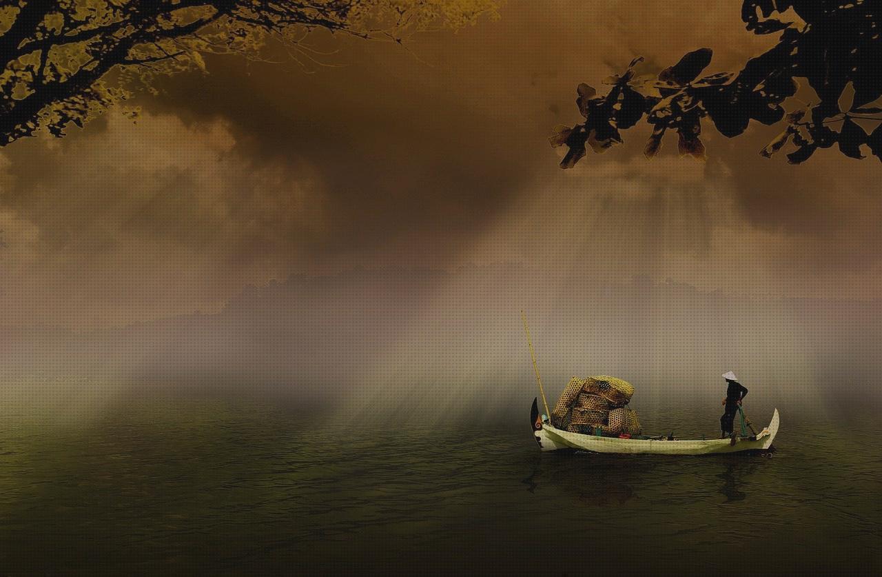 Análisis de los 6 mejores artículos para botas removible