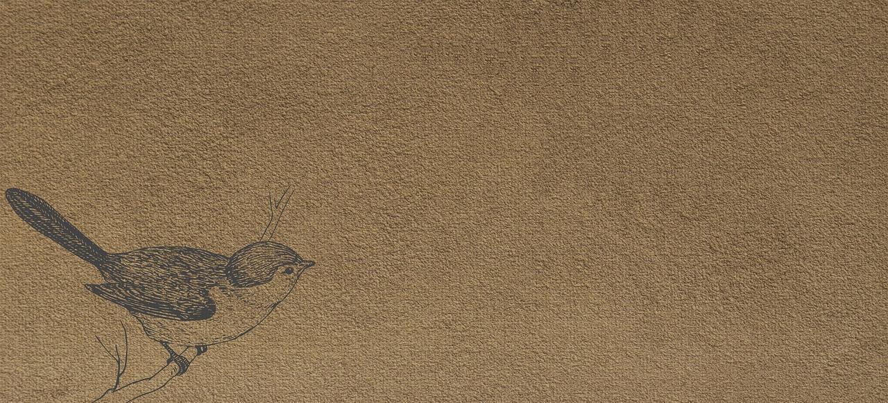 ¿Dónde poder comprar andador xxl melatonina capsulas 5 mg colageno hidrolizado capsulas brazalete tensiometro xxl?