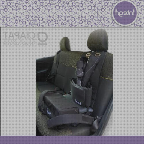 Opiniones de las 19 mejores Butacas Ortopedicas Para Autos