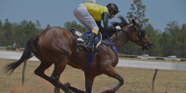 TOP 18 caballos andadores chicos