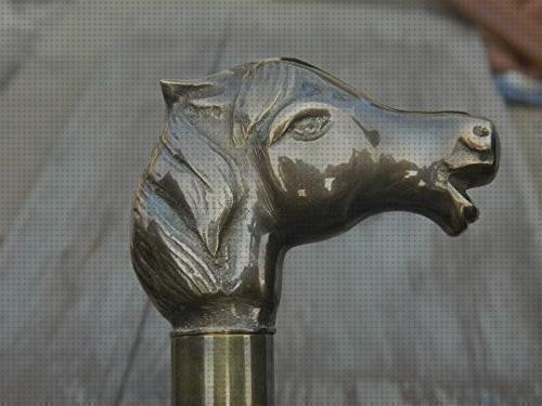 Las mejores marcas de caballos caballo andador chico