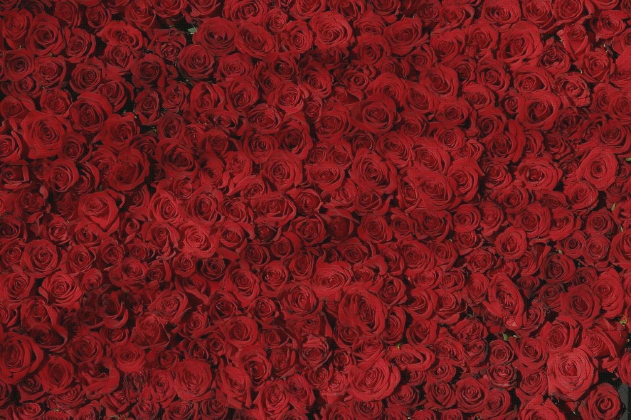 Review de cama hospitalaria linet