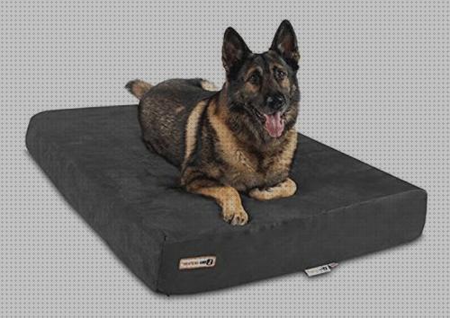 Review de cama ortopedica partes