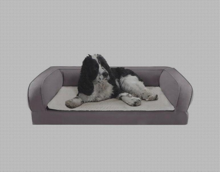 ¿Dónde poder comprar andador ortopédico cu904 150 melatonina capsulas 5 mg colageno hidrolizado capsulas cama ortopédica perro 150 cm?