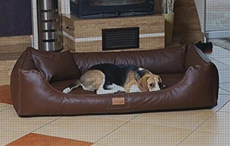 Las mejores marcas de andador ortopédico cu904 150 melatonina capsulas 5 mg colageno hidrolizado capsulas cama ortopédica perro 150 cm