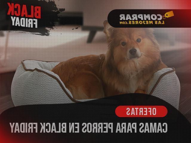 ¿Dónde poder comprar black cama ortopedica perro black friday?