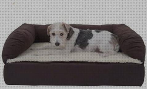 Review de cama ortopedica perro black friday