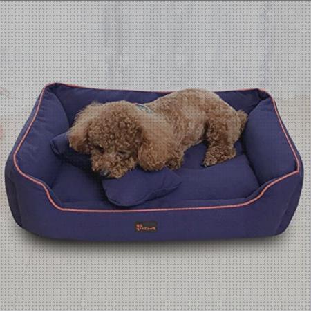 Análisis de las 21 mejores Camas Ortopedicas Para Perros Impermeables