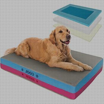 Las mejores ortopedicos camas cama ortopedica perro impermeable